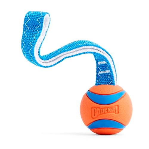 Image of Chuckit! Ultra Tug Dog Toy – Interactive Durable Rubber Ball for Tug of War & Fetch, Medium 6.5 cm (Pack of 1)