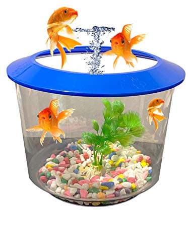 Image of Pet Living Goldfish Bowl Strater Set Gold Fish Bowl with Ornamental Plant Fish Bowl (BLUE)