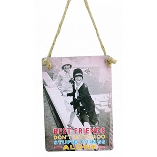 Image of Best Friends don't let you do the stupid things alone mini sign