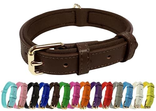 Image of Vibrant Genuine Leather Adjustable Dog Collar with Soft Neoprene Padding, Metal Buckle and D-Ring, For Small, Medium & Large Dogs (Brown, Medium (28-36cm Neck))