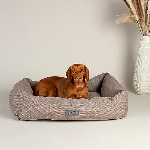 Image of Scruffs Seattle Dog or Cat Box Bed (M)