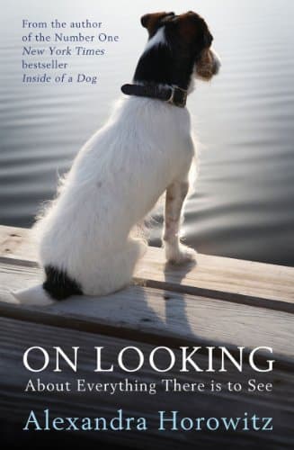 Image of On Looking: About Everything There is to See