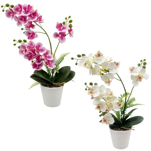 Image of Daily Treasures 21-Heads Artificial Orchid Flower in Pot,2 pack Potted Orchid Plant,Fake Phalaenopsis Flowers with Plastic Vase,Silk Flowers Indoor Decor for Home Table Centerpiece(White & Purple)