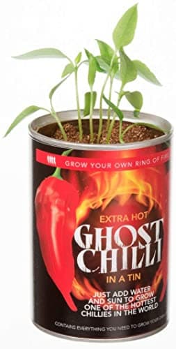 Image of Grow Your Own Extra Hot Chilli in A Tin - Just Add Water