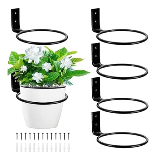 Image of BSTMOME 6 Pack Heavy Duty Wall Flower Pot Holder Ring Planter Hanger, Metal Planter Hooks Wall Mounted Bracket for Outdoor Indoor Garden Home Decor (4 INCH)