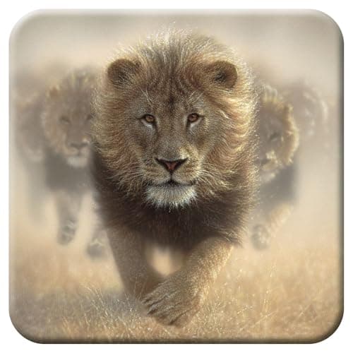 Image of 3D LiveLife Cork Coaster - Eat My Dust from Deluxebase. Lenticular Lion Drink Coasters. Funny Gifts for Women and Men. Cute Novelty Kitchen Gift Ideas and Decorative Home Accessories