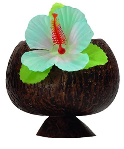 Image of BOLAND 52374 Coconut Cup, Assorted Colors