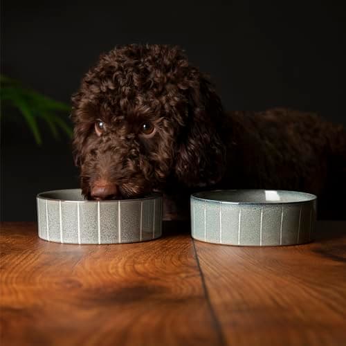 Image of Scruffs Ceramic Heavy Duty Reactive Glaze Pet Bowls - 2pc Set - Grey Pinstripe - 15cm