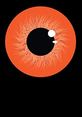 Image of I See All Notebook: Single Orange Eyeball
