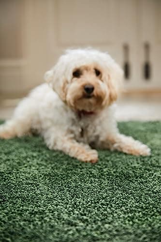 Image of Origin Buddy Mat 100% Polyproplene Frisee Rug My Rug (FOREST GREEN, 80x120cm)