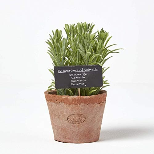 Image of HOMESCAPES Artificial Rosemary in Terracotta Pot Decorative Faux Herbs Potted in Distressed Planter for Indoor Decoration, 16 cm Tall