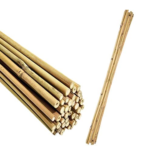 Image of PaMeer 6ft (1.8M) Bamboo Canes, Plant Flower Support Sticks, Heavy Duty Gardening Cane Sticks Plants Support, Indoor Outdoor Plant Support (6ft) – 10 Pack