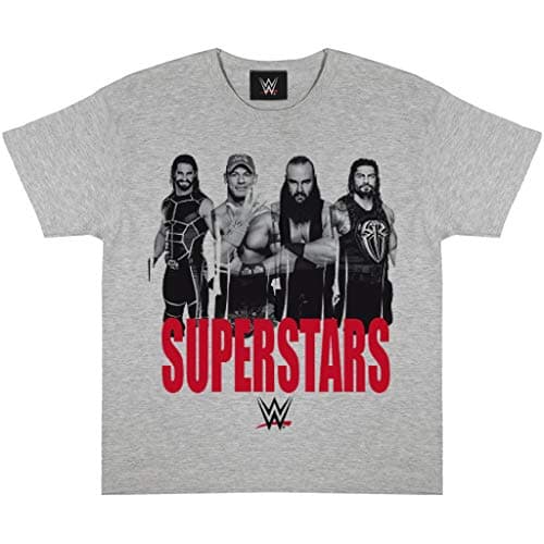 Image of WWE Superstars T-Shirt, Kids, 5-15 Years, Grey, Official Merchandise