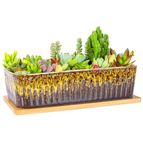 Image of ARTKETTY Succulent Plant Pot - 30.5 CM Large Window Sill Planter with Drainage Tray, Long Rectangle Ceramic Pots for Indoor Cactus Plants Shallow Bonsai Window Box for Home