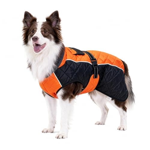Image of BECROWM Dog Coat Dogs Winter Coat Fleece Lined,Water-Resistant,Convertible Collar,Back Reflective Strip&Easy to Wear for Outdoor Walking Dog-Jacket(Orange, Medium)