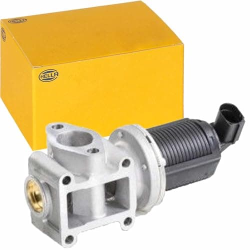 Image of HELLA 6NU 010 171-401 EGR Valve - Electronic - 2-pin connector - with gaskets/seals