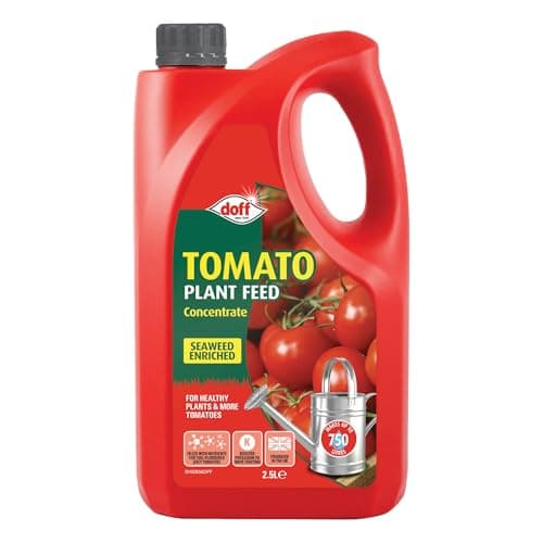 Image of Doff Tomato Feed Concentrate – 2.5L Liquid Vegetable Plant Food for Healthy Growth of Tomatoes, Vegetables & Flowers – Seaweed Enriched – Encourages Root Development – Makes 750L Feed