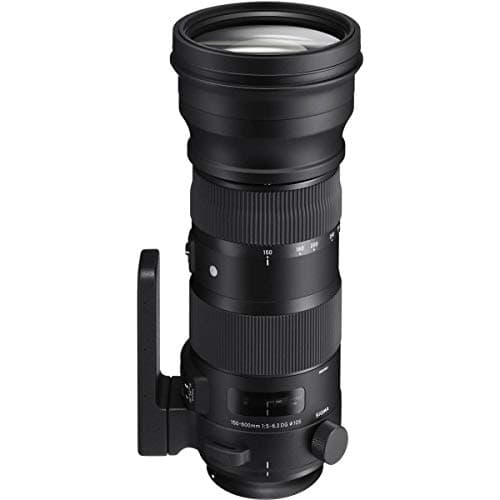 Image of Sigma 740101 (150-600mm) F5-6.3 DG OS HSM Sport Lens for Canon Digital Cameras