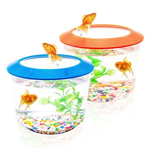 Image of Goldfish Tank – Small Fish Tanks and Aquariums – Fish Bowl – Starter Kits with Gravel Ornamental Plant – Complete Set up for Kids Fishes Tank (Any (Blue or Orange))