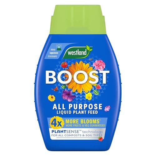 Image of Westland Boost All Purpose Liquid Plant Feed (1L) x 2