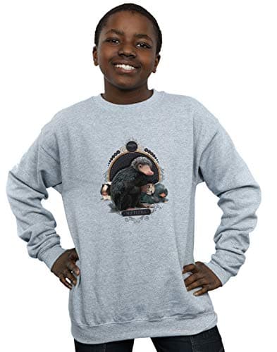 Image of Absolute Cult Fantastic Beasts Boys Baby Nifflers Sweatshirt Sport Grey 5-6 Years
