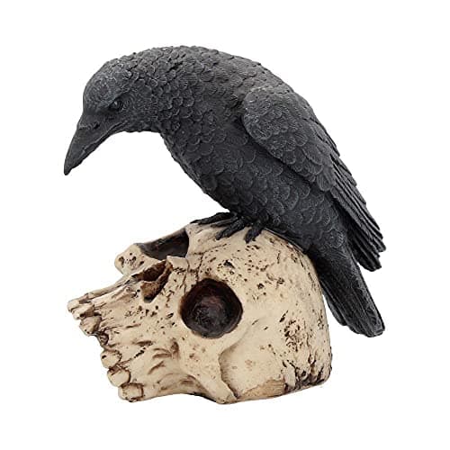 Image of Nemesis Now Ravens Remains Figurine 13cm, Crow Skull Gothic Ornament, Black