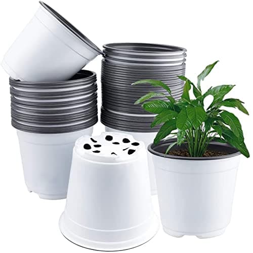 Image of LATERN 50Pcs 15cm Plastic Plant Flower Pots, White Lightweight Seed Starting Pot Nursery Seedlings Pot Flower Plant Container (15cm x 13cm)