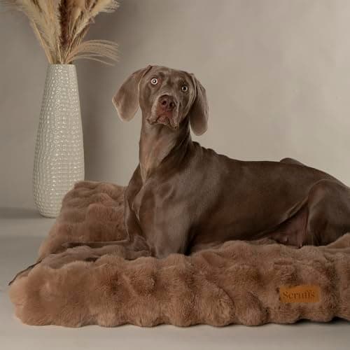 Image of Scruffs Luxury Alpine Dog Bed Mattress (L)