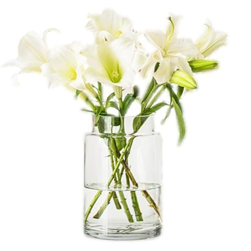 Image of Flower Vases for Centerpieces Innjoii Glass - Large Thicker Clear Glass Vases Wide Big Vintage Modern Mouth Vase Giant Home Decor, Bouquet Modern for Wedding Table, 15(W)*23cm(H)