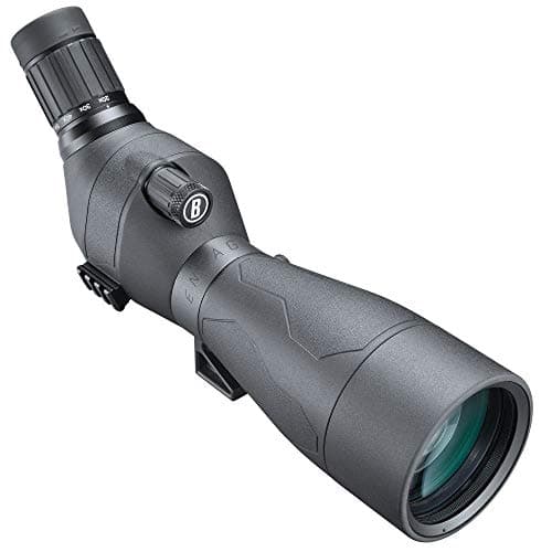 Image of Bushnell Lunette ENGAGE 20-60X80 COUDEE - FLSENDX2680A