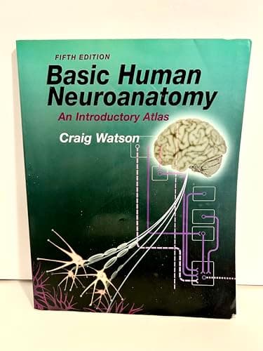 Image of Basic Human Neuroanatomy