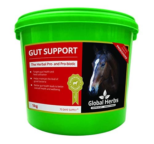 Image of Global Herbs Gut Support (1KG)