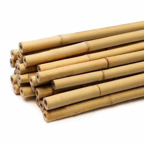 Image of FunkyBuys Thick Bamboo Canes - Heavy Duty, Natural Garden Stakes, Strong Bamboo Sticks for Plant Support - Ideal for Gardens and Outdoor Spaces pack of 10 (2FT, (6-8mm))
