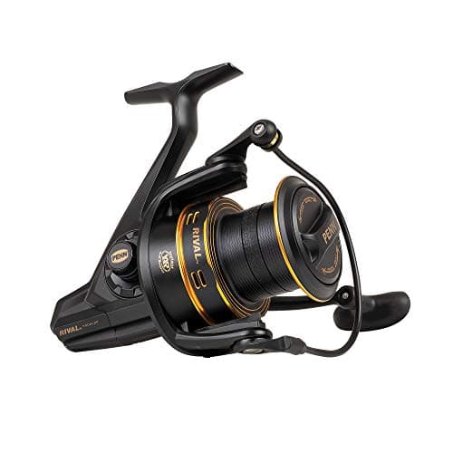 Image of PENN Rival™ Longcast Gold, Sea Fishing Reel, Spinning Reels, Lightweight Long Distance Casting Reel for Sea, Saltwater, Surf, Rock and Beach Fishing Anglers, Carp, Bass & Predator Fish Black Gold 8000