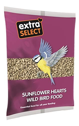 Image of Extra Select Sunflower Hearts Bird Food - Husk-Free, Oil Rich, High Energy Wild Bird Seed for Year Round Feeding - 2 kg