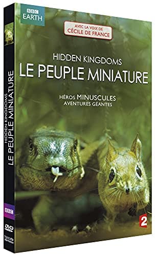 Image of HIDDEN KINGDOM