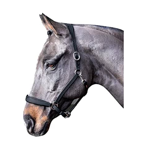 Image of John Whitaker Ready to Ride Headcollar Black Cob