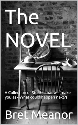 Image of The NOVEL: A Collection of Stories that will make you ask(What could happen next?)