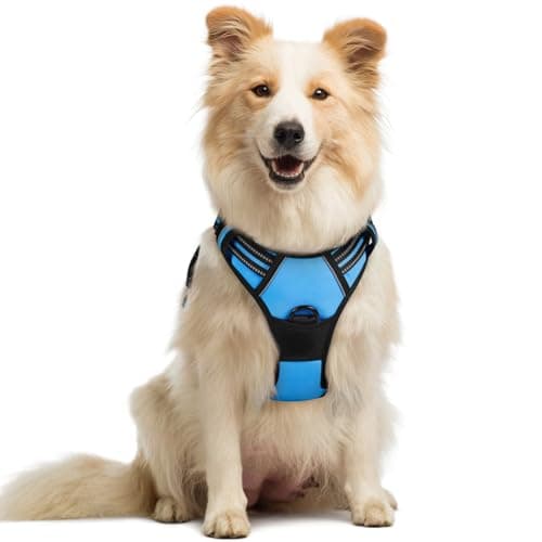 Image of rabbitgoo Dog Harness Medium No Pull Pet Harness with 2 Leash Clips, Adjustable Soft Padded Pet Vest, Reflective No-Choke with Easy Control Handle for Training or Walking, Baby Blue, M
