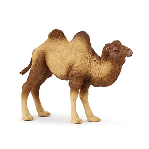 Image of Papo - Realistic Bactrian Camel Figure Toy for Kids - Ages 3+ - Wild Life Collection - Educational Play Exotic Animals - Gift Idea Toy for Girls and Boys - 11.8 Cm