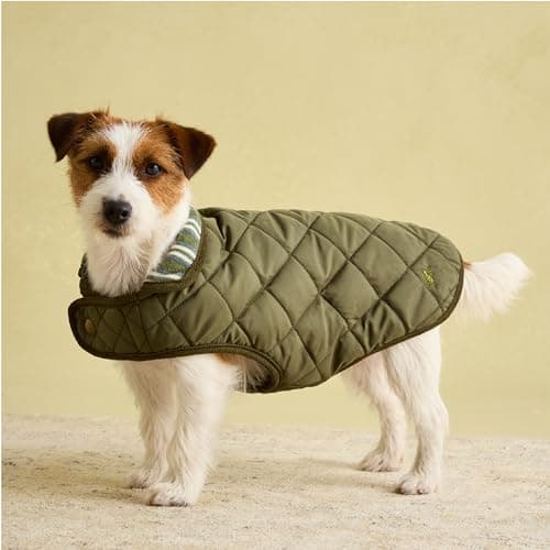 Image of Rosewood x Joules Khaki Quilted Coat for Dogs, Small, Washable, Lightweight, Warm Winter Dog Jacket for Small Dogs
