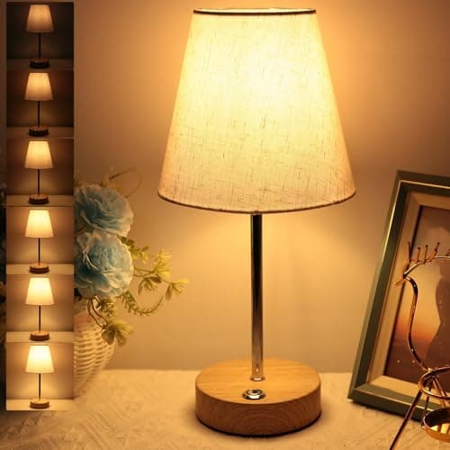 Image of HSLighting Rechargeable Table Lamp, 3000mAh Cordless Lamp 12" Modern Desk Lamp for Garden Dining & Home, Stepless Dimmable Touch Control Battery Operated Portable LED Nightlight for Home, Kitchen