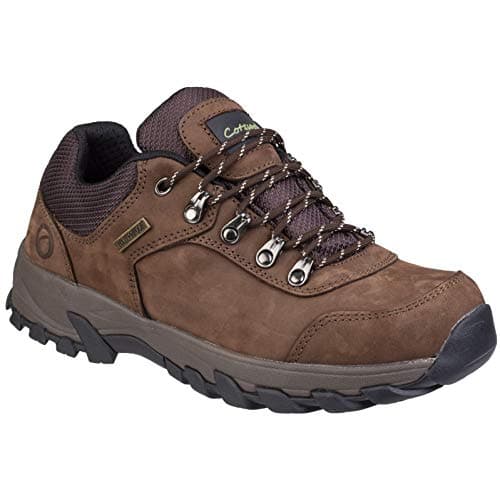 Image of Cotswold Hawling Shoe Male Brown Size 10