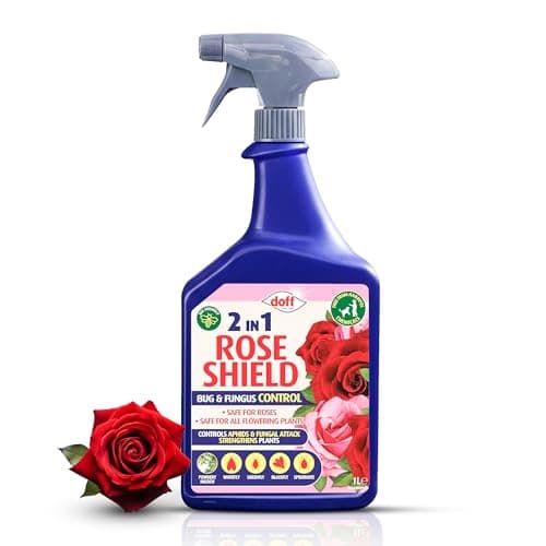Image of Quebec Rose Shield Ultra Spray 2 in 1 Rose Shield Bug & Fungus Control – Pesticide Free with Added Feed for Strong Growth, 1 Litre Ready to Use Spray