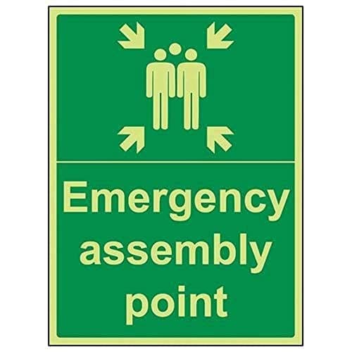 Image of VSafety 17016BC-G "Emergency Fire Assembly Point" Sign, Glow In Dark, 1 mm Plastic, Portrait, 300 mm x 400 mm, Green