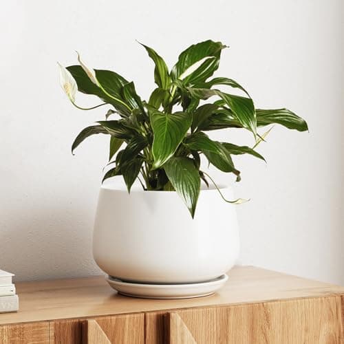 Image of LE TAUCI Ceramic Plant Pots, 25cm Plant Pot Indoor with Drainage Holes and Saucers, Stylish and Durable Planter, Ceramic Pots for Plants, Gift for Mom, White