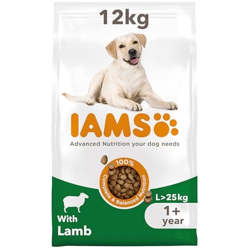 Image of IAMS Advanced Nutrition for Large Breed Adult Dogs 1 Year + – 100% Complete & Balanced Lamb Food – Wheat Free – Non-GMO Artificial Flavour Colours – Resealable Bag 12 kg