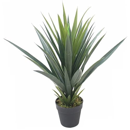 Image of Leaf LEAF-7170 60cm Artificial Agave Succulent Yukka Style Green Plant