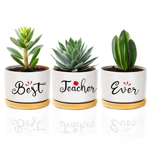 Image of coTaSiEY Teacher Gifts, Best Teacher Ceramic Flower Plant Bonsai Pots Planters And Trays Birthday Christmas Valentines Thank You Retirement End of The Year Leaving Appreciation Gifts Presents