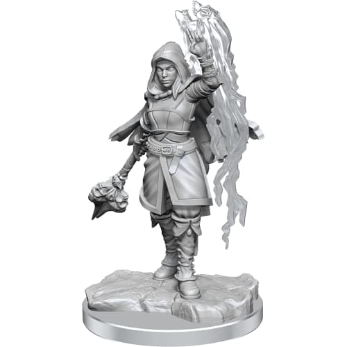 Image of WizKids - D&D Nolzurs Marvelous Miniatures: Half-Elf Warlock - Wave 20